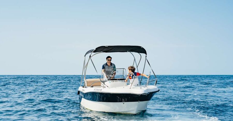 Malaga: License-free Boat Rental for Dolphin Watching - What one hour actually gives you