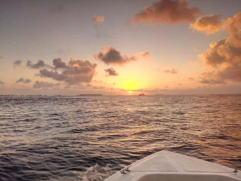 Maldives: Sunset Cruise with Dolphin Watching - What makes this cruise worth your evening