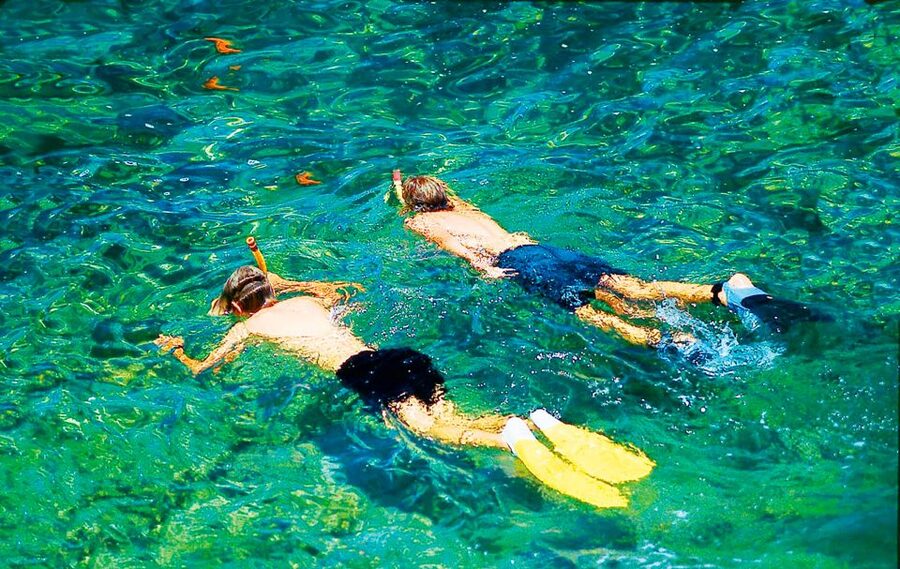 Mallorca: Dolphin Watching Cruise - Who will enjoy this cruise most