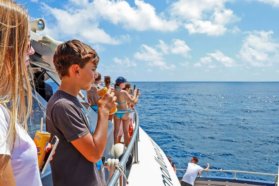Mallorca: Dolphin Watching Cruise - Small details that make the morning easier