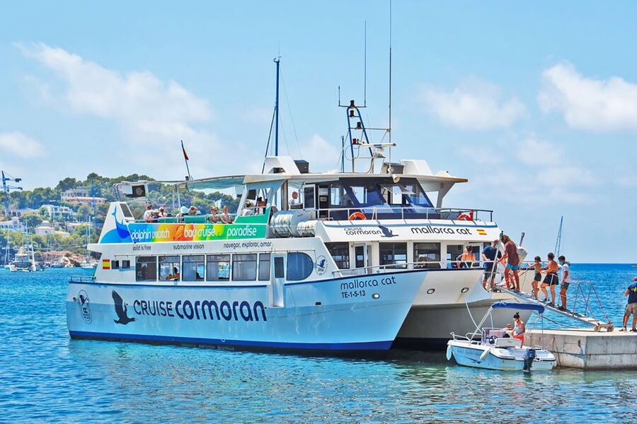 Mallorca: Dolphin Watching Cruise - Looking for dolphins in open water