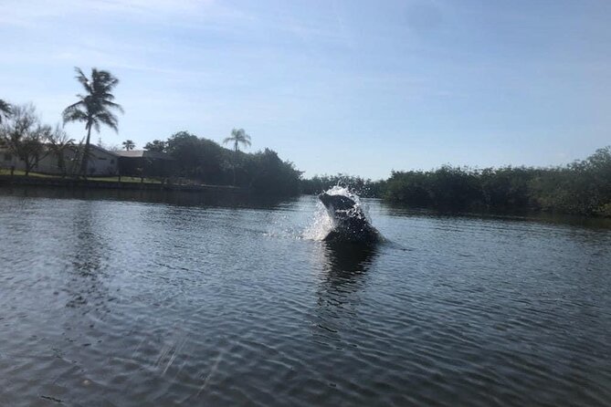 Manatee and Dolphin Kayak Tour - What happens during the two-hour route
