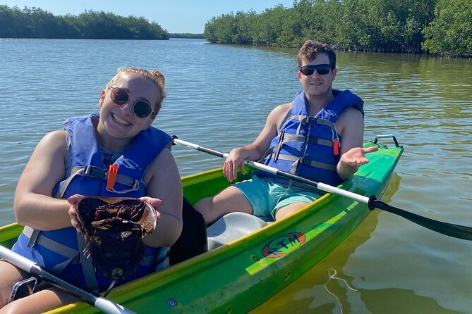 Manatee and Dolphin Kayak Tour - What is included, and is $50 a fair price?