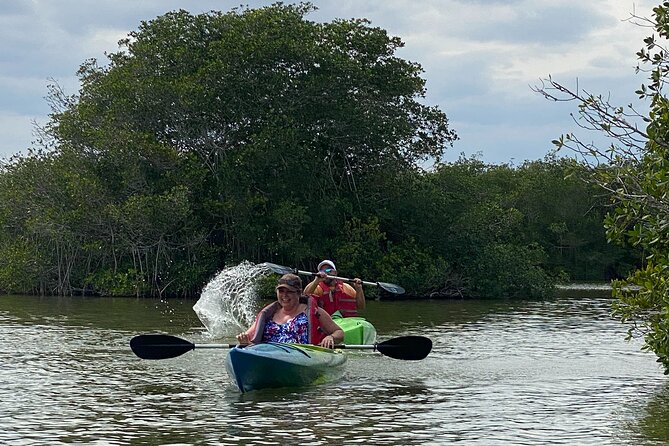 Manatee and Dolphin Kayak Tour - Practical booking advice