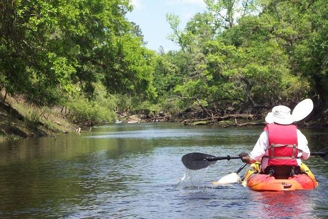 Manatee and Dolphin Kayaking Encounter - Launching at Haulover Canal