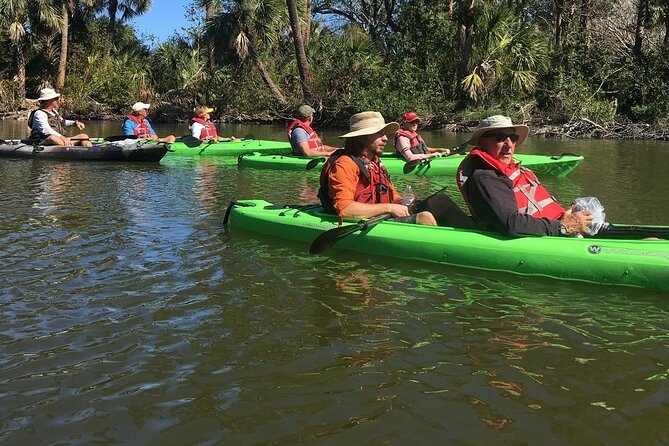 Manatee and Dolphin Kayaking Encounter - How the guides shape the experience