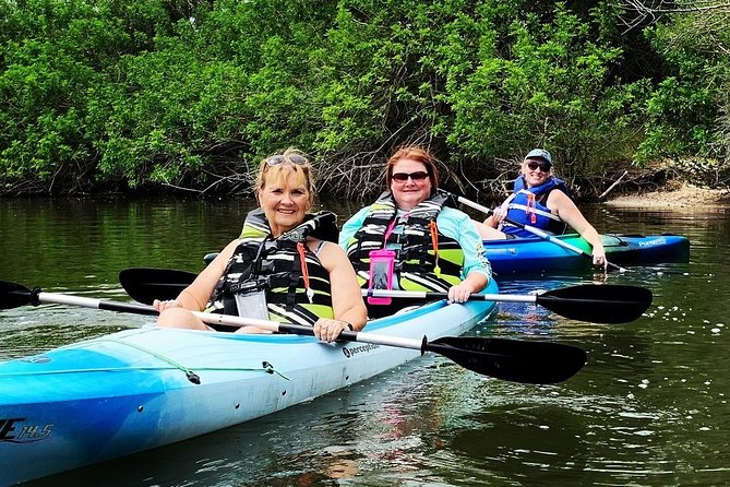 Manatee and Dolphin Kayaking Encounter - Timing, weather, and boat traffic