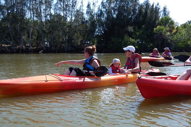Manatee and Dolphin Kayaking Encounter - Value, families, and the right kind of visitor