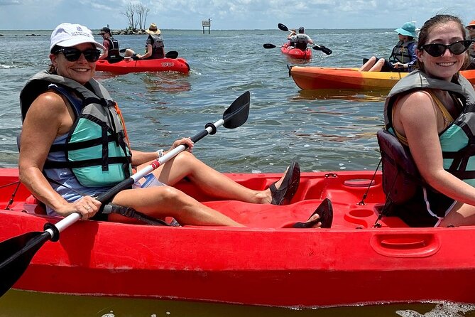 Manatee and Dolphin Kayaking Encounter - Booking and cancellation details