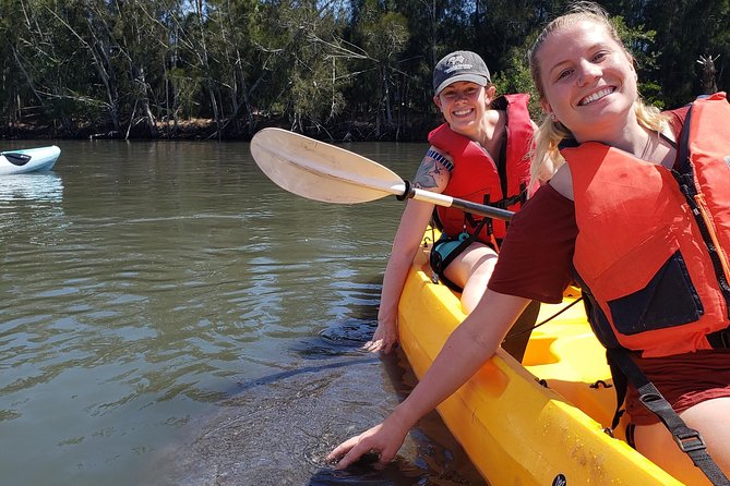 Manatee and Dolphin Kayaking | Wildlife Refuge (Titusville) - Haulover Canal: A Better Wildlife Setting Than a Simple Beach Paddle