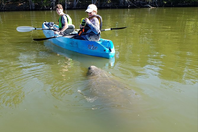 Manatee and Dolphin Kayaking | Wildlife Refuge (Titusville) - The Guides Turn Paddling Into a Nature Lesson