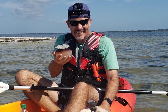 Manatee and Dolphin Kayaking | Wildlife Refuge (Titusville) - Timing, Weather, and Realistic Expectations
