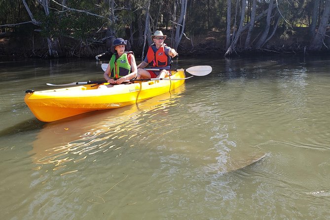 Manatee and Dolphin Kayaking | Wildlife Refuge (Titusville) - Manatees, Dolphins, and the Wildlife You Might See