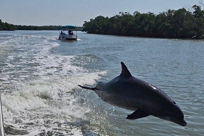 Manatee, Dolphin, and 10,000 Islands Eco Beach Tour by Boat - Key points to know before you book