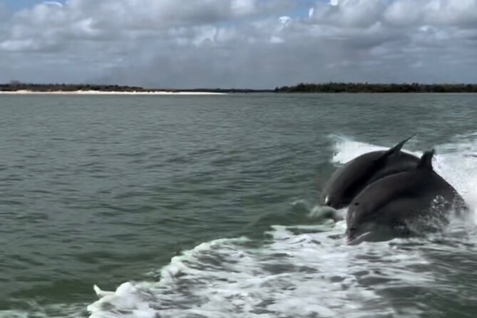 Manatee, Dolphin, and 10,000 Islands Eco Beach Tour by Boat - Leaving Port of the Islands Marina