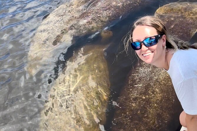 Manatee, Dolphin, and 10,000 Islands Eco Beach Tour by Boat - Is $129.99 a fair price?