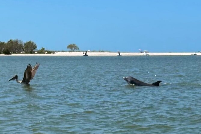 Manatee, Dolphin, and 10,000 Islands Eco Beach Tour by Boat - The 45-minute run to the 10,000 Islands