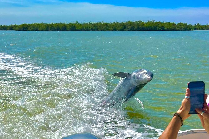 Manatee, Dolphin and 10,000 Islands Sunset Cruise! - Who should book this sunset cruise