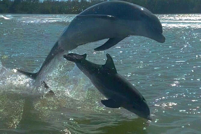 Manatee, Dolphin and 10,000 Islands Sunset Cruise! - Sunset among the Ten Thousand Islands