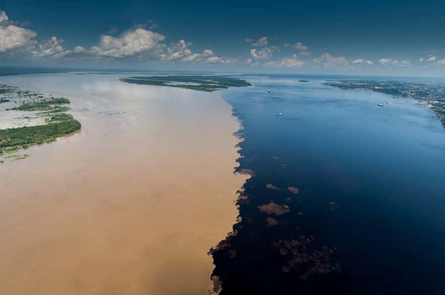Manaus: Meeting of the Waters & Pink Dolphin Tour with Lunch - Swimming with Amazon pink dolphins