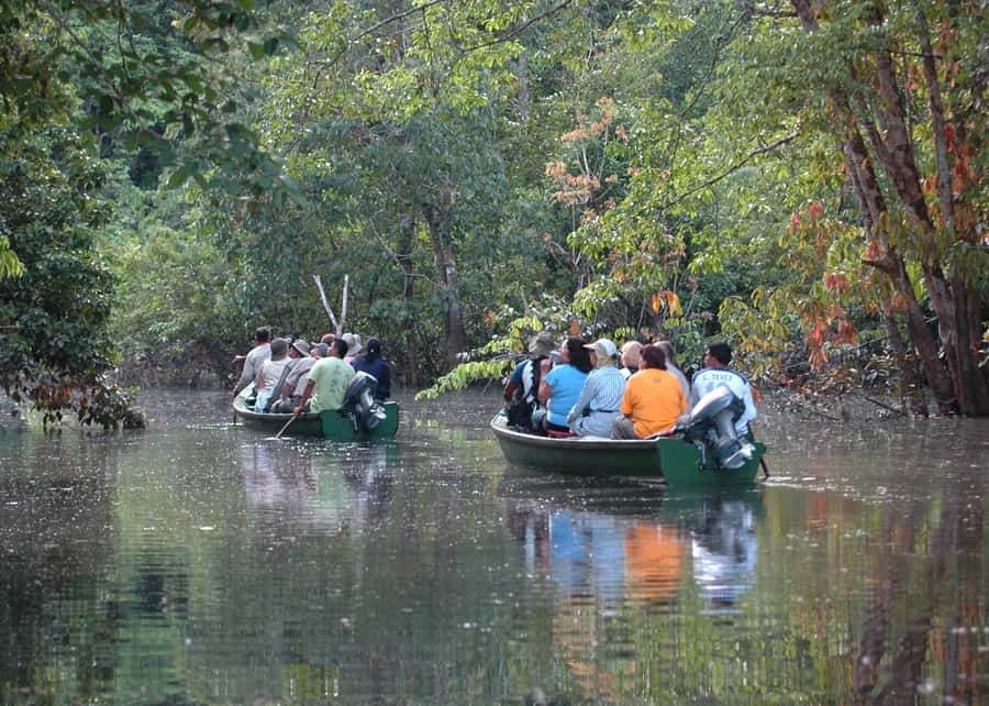 Manaus: Meeting of the Waters & Pink Dolphin Tour with Lunch - Meeting Dessanos and Tucanos communities