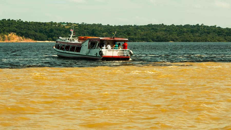 Manaus: Meeting of the Waters & Pink Dolphin Tour with Lunch - Lunch at Rainha da Selva floating restaurant