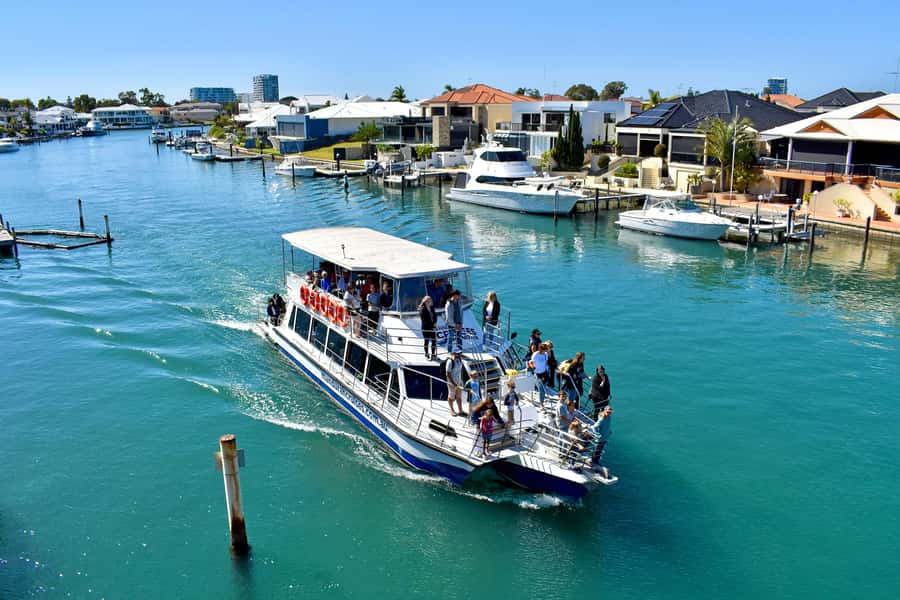 Mandurah: Dolphin and Views Cruise - Why Mandurah’s dolphins make this cruise special