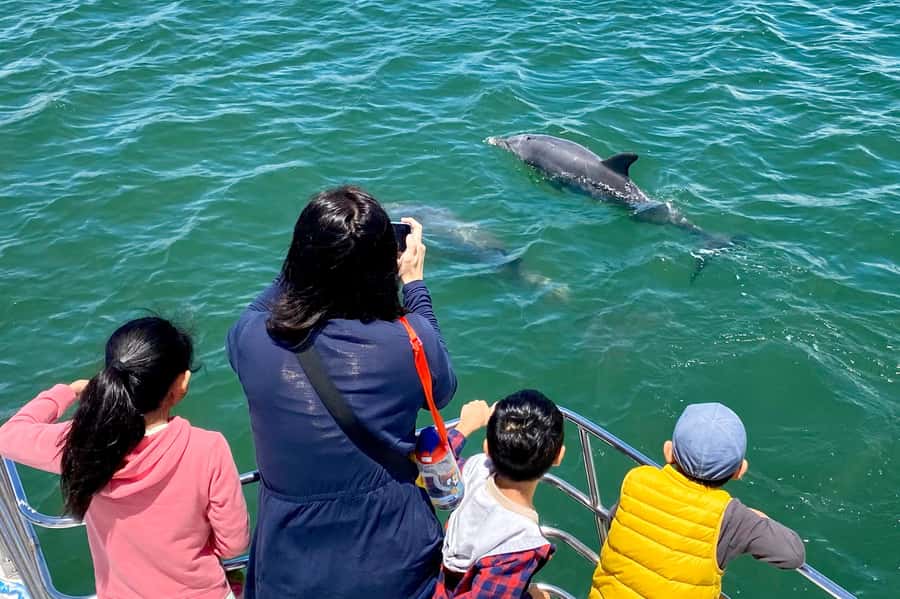 Mandurah: Dolphin and Views Cruise - Wetlands and birdlife beyond the dolphins