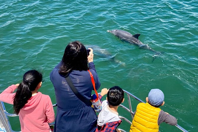 Mandurah Dolphin Cruise and Views - The Peel-Harvey Estuary and the ocean mouth
