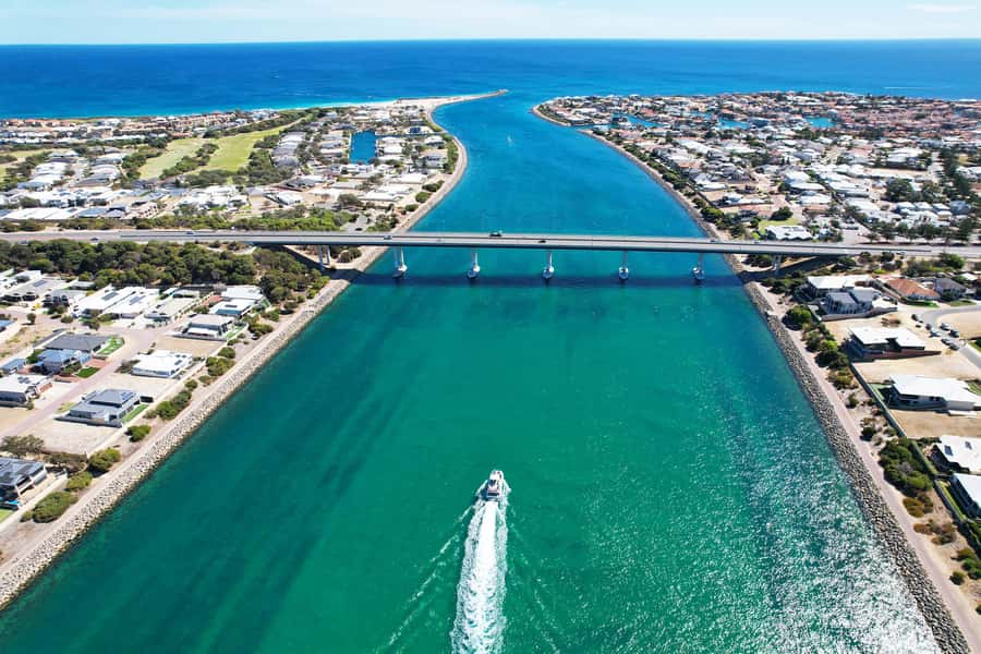 Mandurah: Dolphin & Giant Sightseeing Cruise - What the live commentary adds