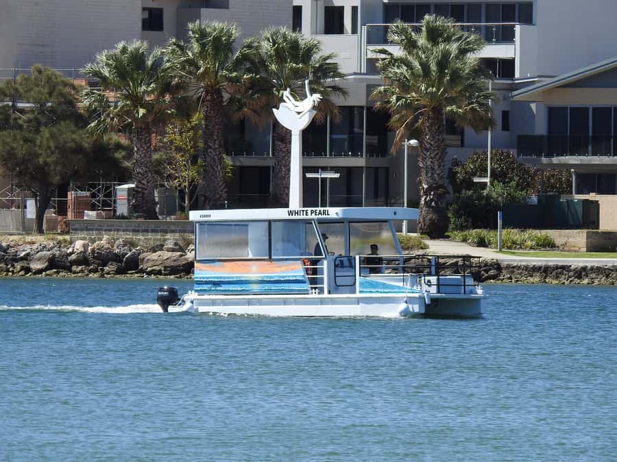 Mandurah: Sightseeing Dolphin Cruise with Tour Guide - Key Points