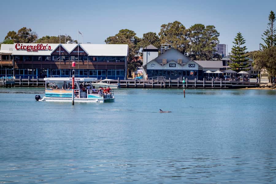 Mandurah: Sightseeing Dolphin Cruise with Tour Guide - Why Mandurah Looks Best From the Water