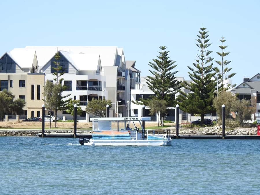 Mandurah: Sightseeing Dolphin Cruise with Tour Guide - Creery Wetlands and Boundary Island