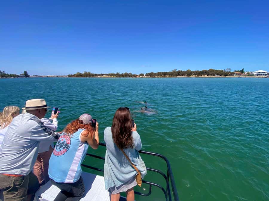 Mandurah: Sightseeing Dolphin Cruise with Tour Guide - Small Details That Can Improve the Ride