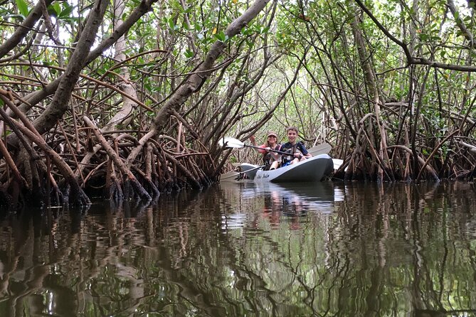 Mangrove Tunnels, Dolphins, Manatee Tour #1 Rated in Cocoa Beach - Entering the mangrove tunnels