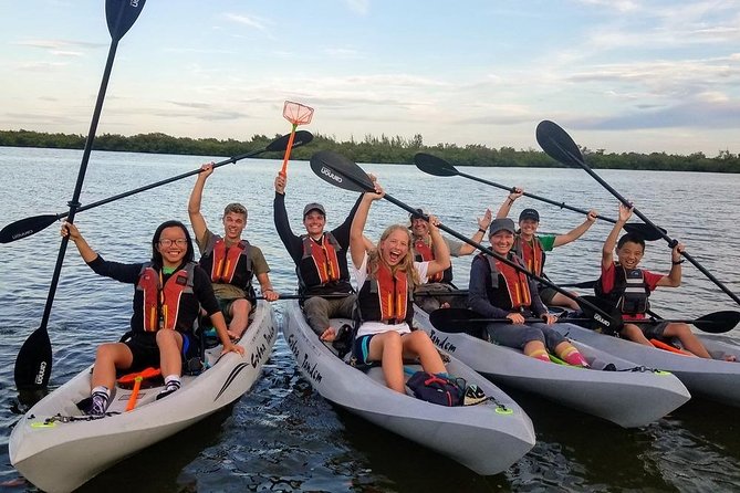 Mangrove Tunnels, Dolphins, Manatee Tour #1 Rated in Cocoa Beach - Guides who add more than directions