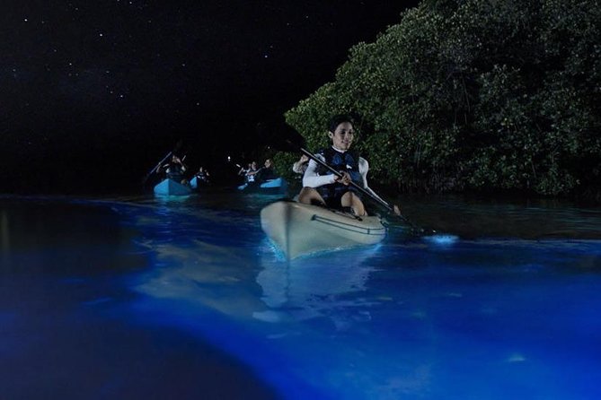 Mangrove Tunnels, Dolphins, Manatee Tour #1 Rated in Cocoa Beach - Why this tour suits first-time kayakers