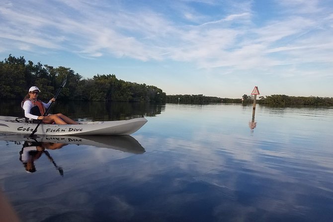 Mangrove Tunnels, Dolphins, Manatee Tour #1 Rated in Cocoa Beach - Timing, meeting details, and cancellation rules