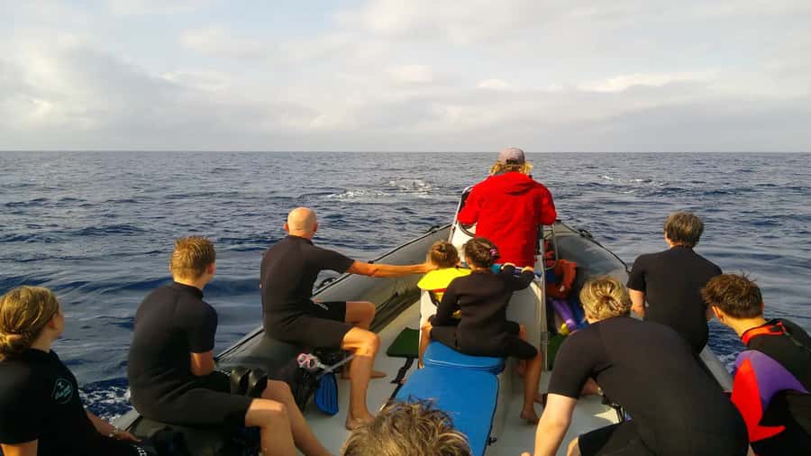 Maputo: Dolphin Swim Tour in Ponta do Ouro - Why the safety briefing matters