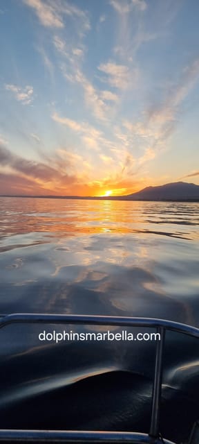 Marbella: Dolphin-Watching Sailboat Trip with Drinks, Snacks - Swimming, Paddleboarding, Fishing, and Snorkeling