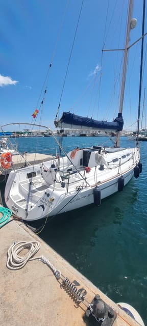 Marbella: Dolphin-Watching Sailboat Trip with Drinks, Snacks - Drinks, Fruit, and the Onboard Atmosphere