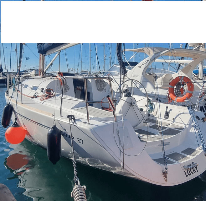 Marbella: Dolphin-Watching Sailboat Trip with Drinks, Snacks - Should You Book This Marbella Sailboat Trip?