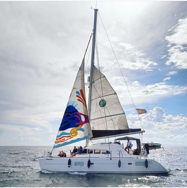 Marbella: Group Dolphin Watching Catamaran Tour with Snacks - Snacks, Drinks, and the Social Side