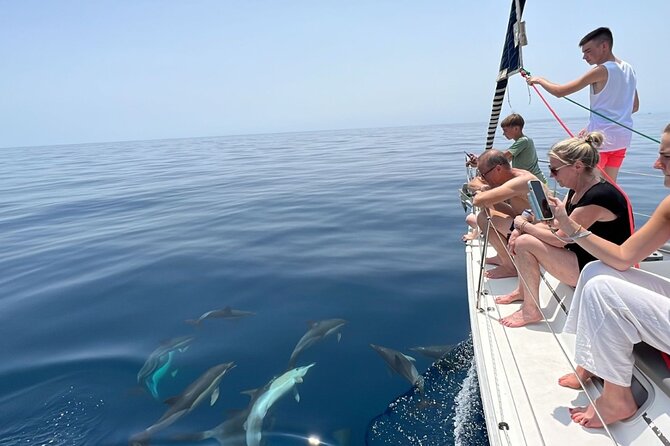 Marbella sailboat rental, dolphins, drinks and snacks - 2 hours - Key points at a glance