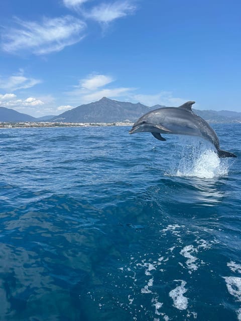 Marbella: Sailing & Dolphin Watching with Snacks and Drinks - Sailing out from Puerto Banús