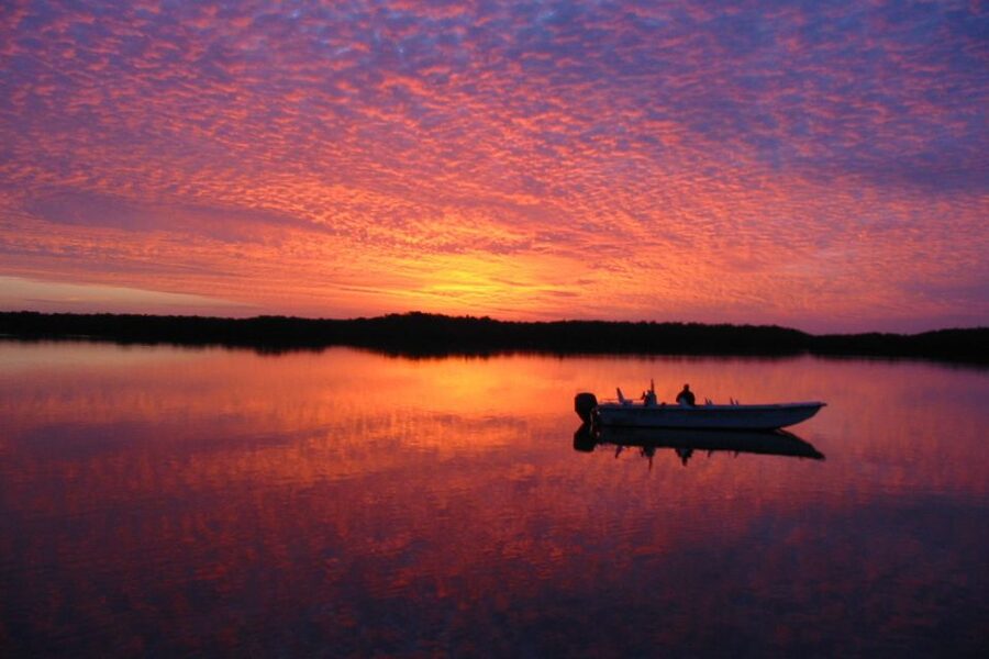 Marco Island: 2-Hour Dolphin, Birding, and Shelling Tour - Who will enjoy this tour most
