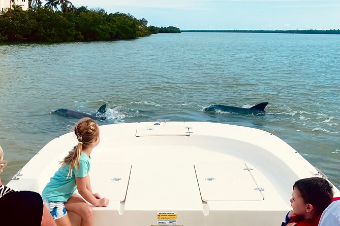 Marco Island and 10,000 Islands Sightseeing with Dolphin Tour - Key points to know before you book
