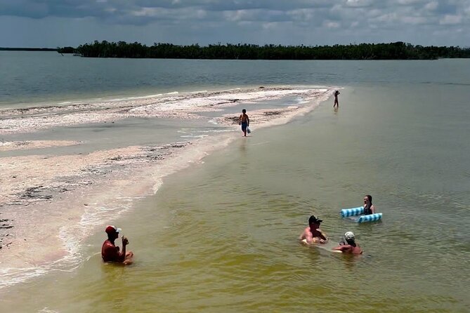 Marco Island Dolphin & Eco Tour – Private 2 Hour Wildlife Cruise - Who should book this cruise