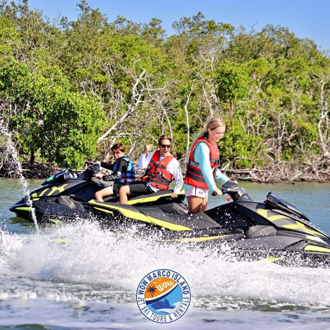 Marco Island: Dolphin Jet Ski Tour - Starting at 750 Palm Point Drive