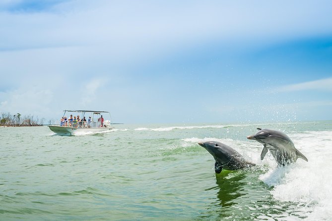 Marco Island Dolphin Sightseeing Tour - Dolphins and mangroves from Goodland Boating Park